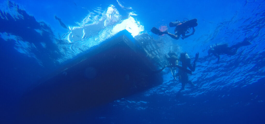 Pacific Coast Dive Center logo